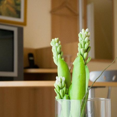 Hotel Hilgers Düren - Eifel エクステリア 写真