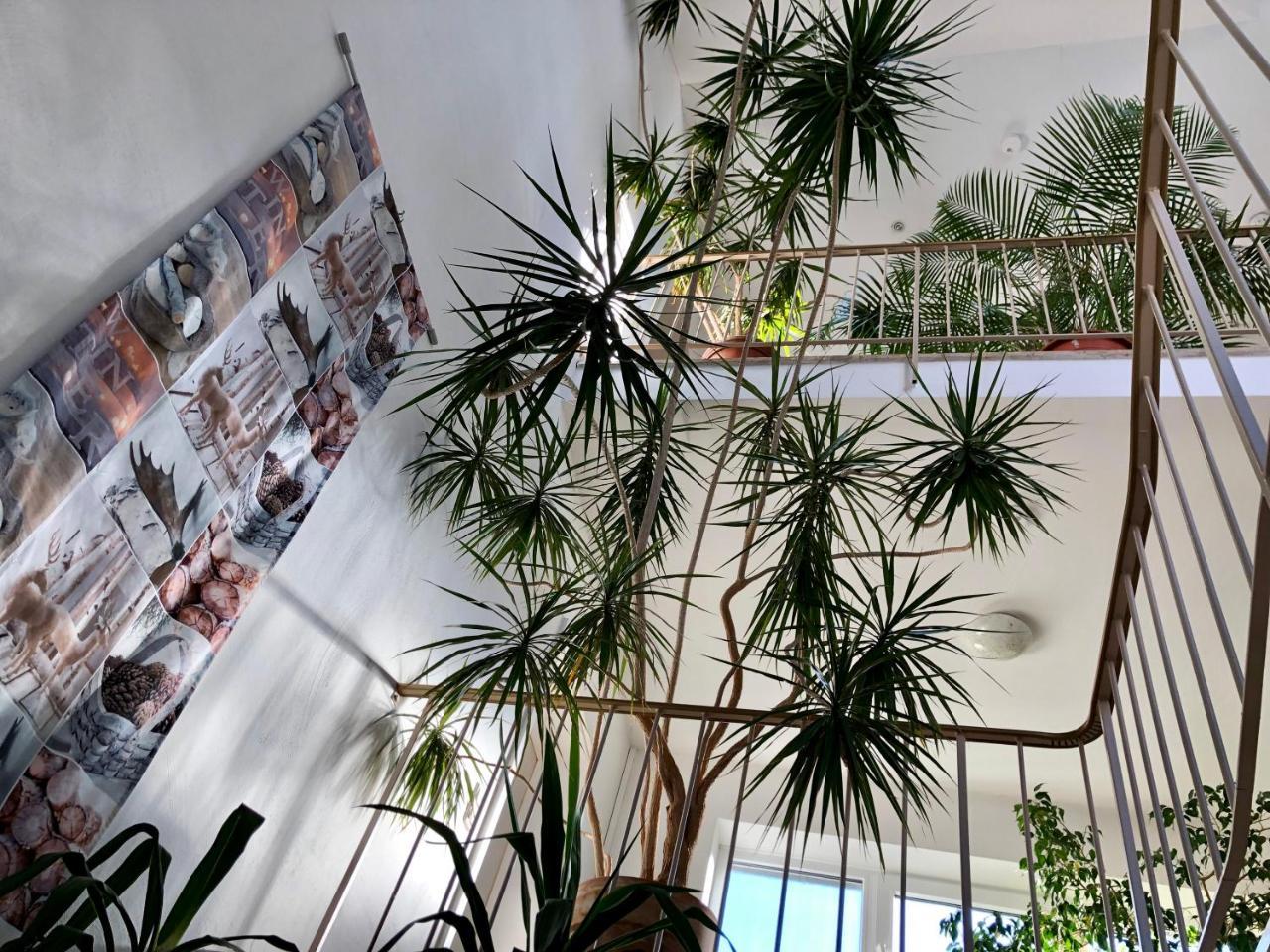 Hotel Hilgers Düren - Eifel エクステリア 写真